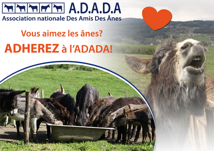 Adhérer