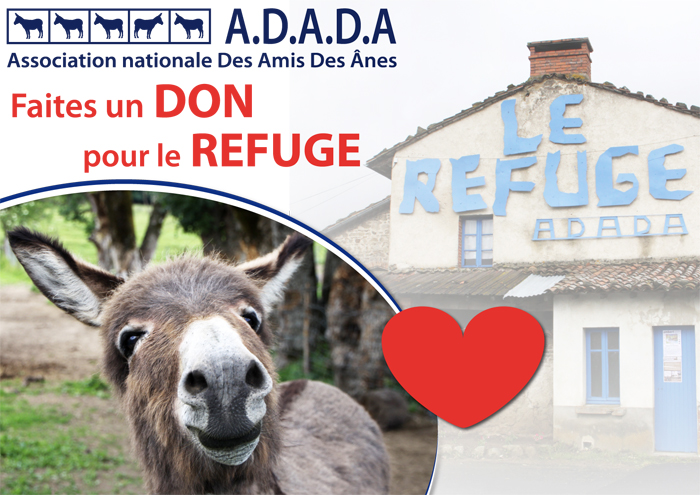 AFFICHE DON