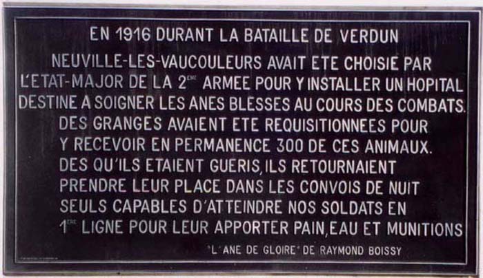 AnesVerdun