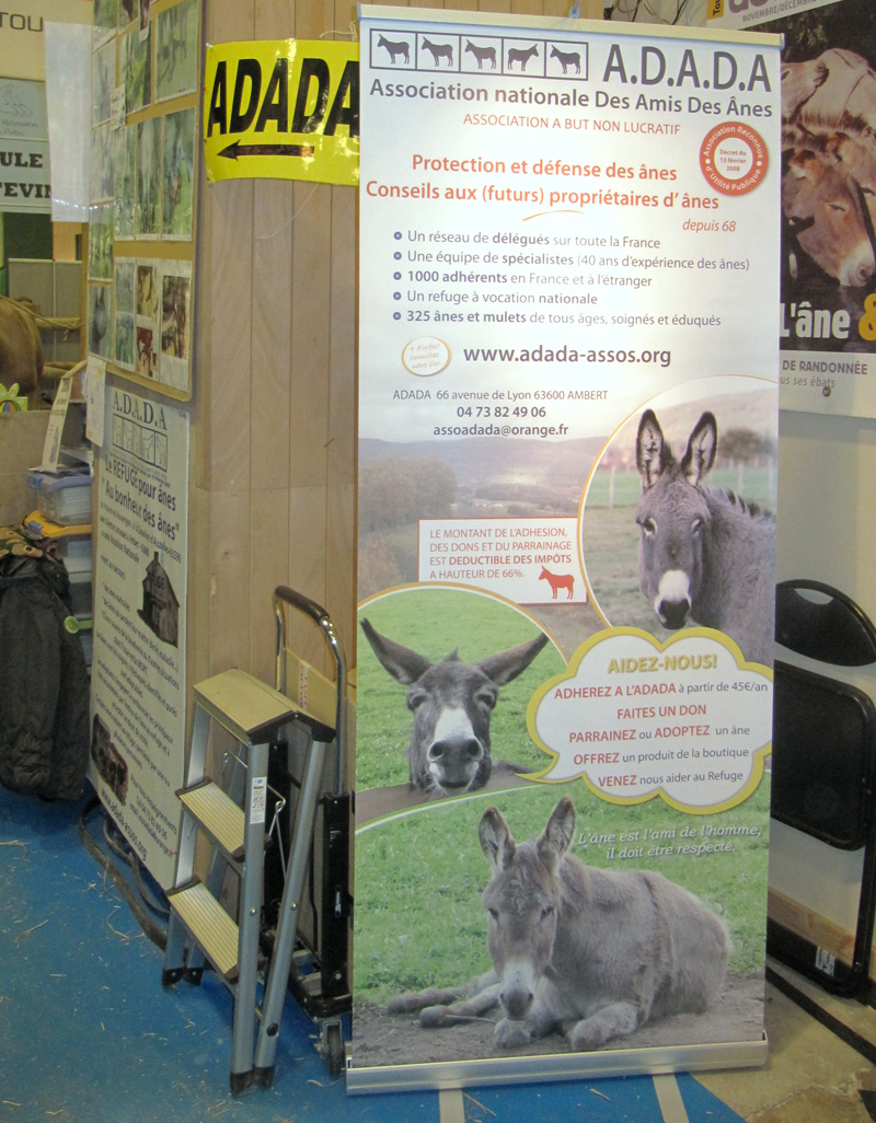 Stand_3