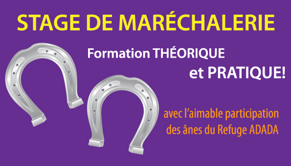 stage maréchalerie