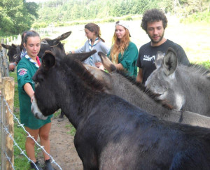 Scouts_1