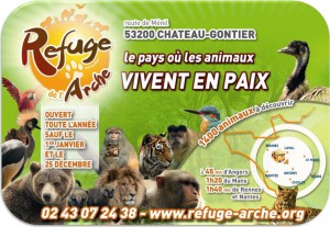 Arche