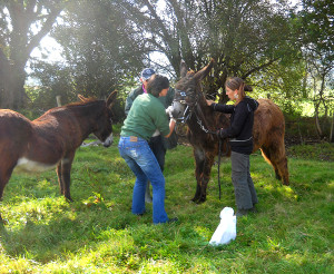 5 photo 2