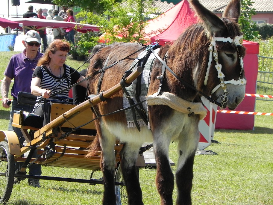 Puycornet_2015-3