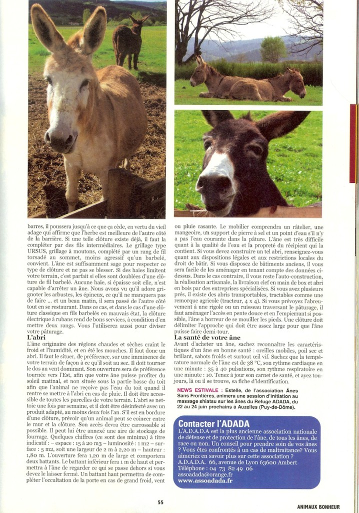 Animaux_Bonheur_5-2