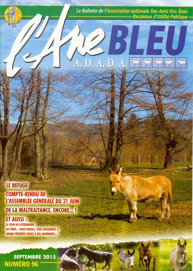 Revue 96