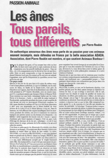 Animaux_Bonheur