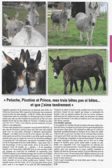 Animaux_Bonheur