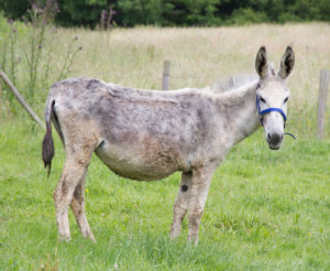 KATI_avant la naissance
