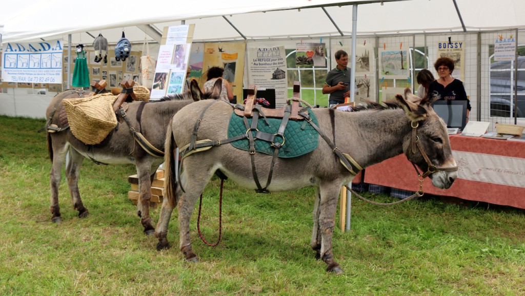 Centenaire_Neuville-1