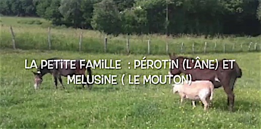 Feu_Follet-video
