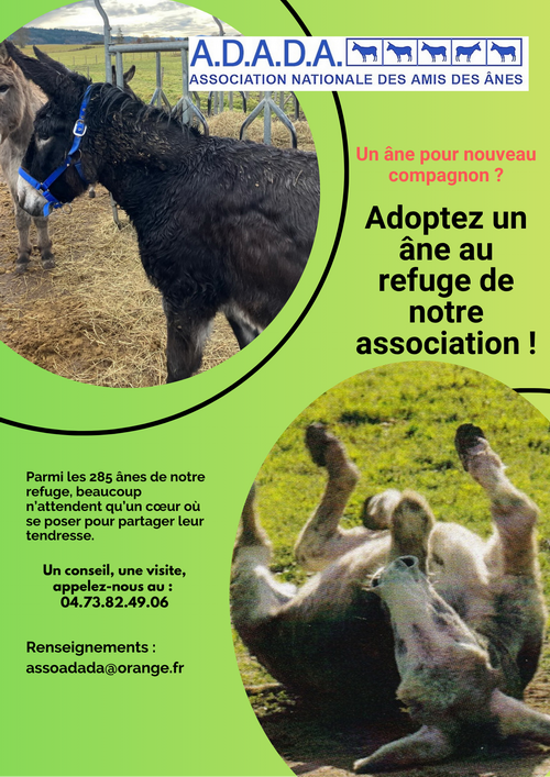AFFICHE ADOPTION