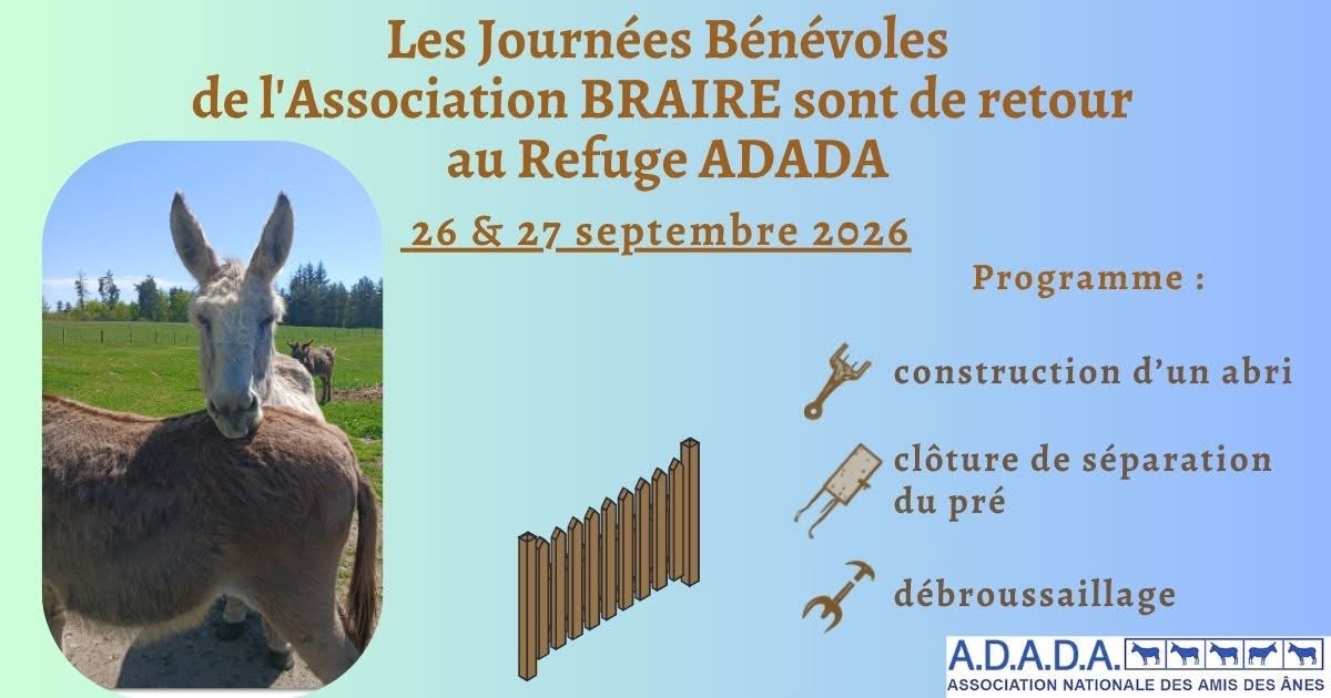 Bénévoles au refuge avec les ânes