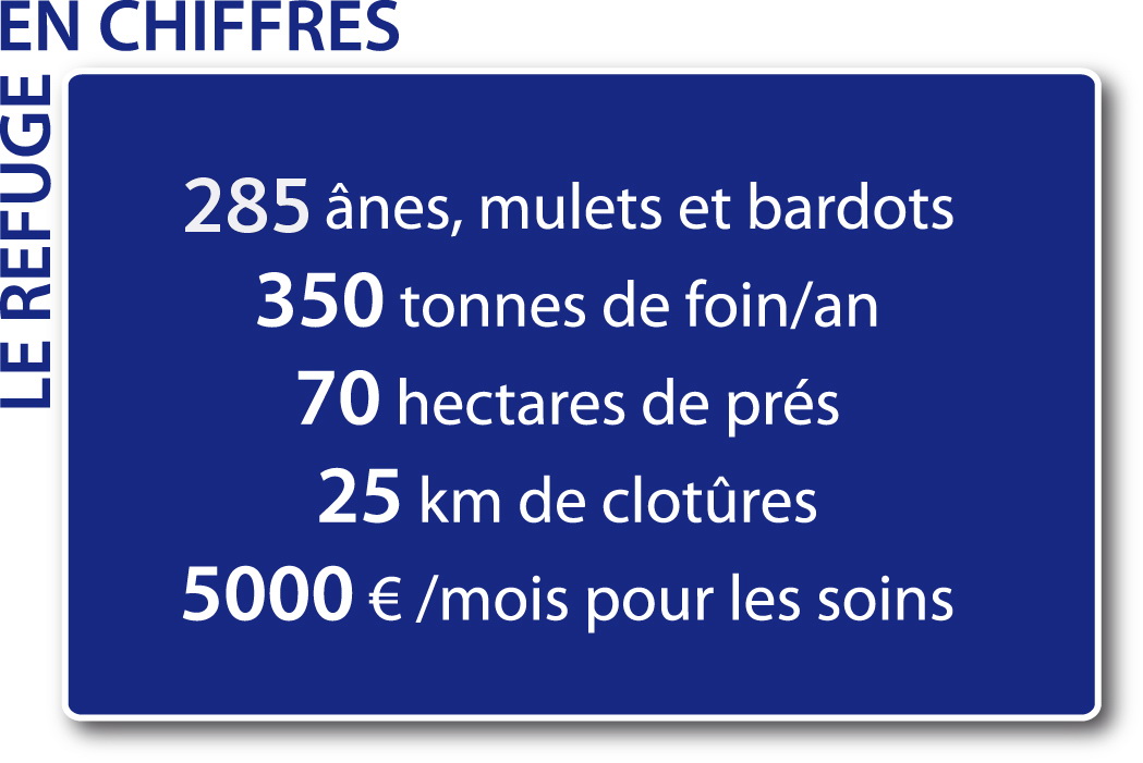 chiffres_refuge